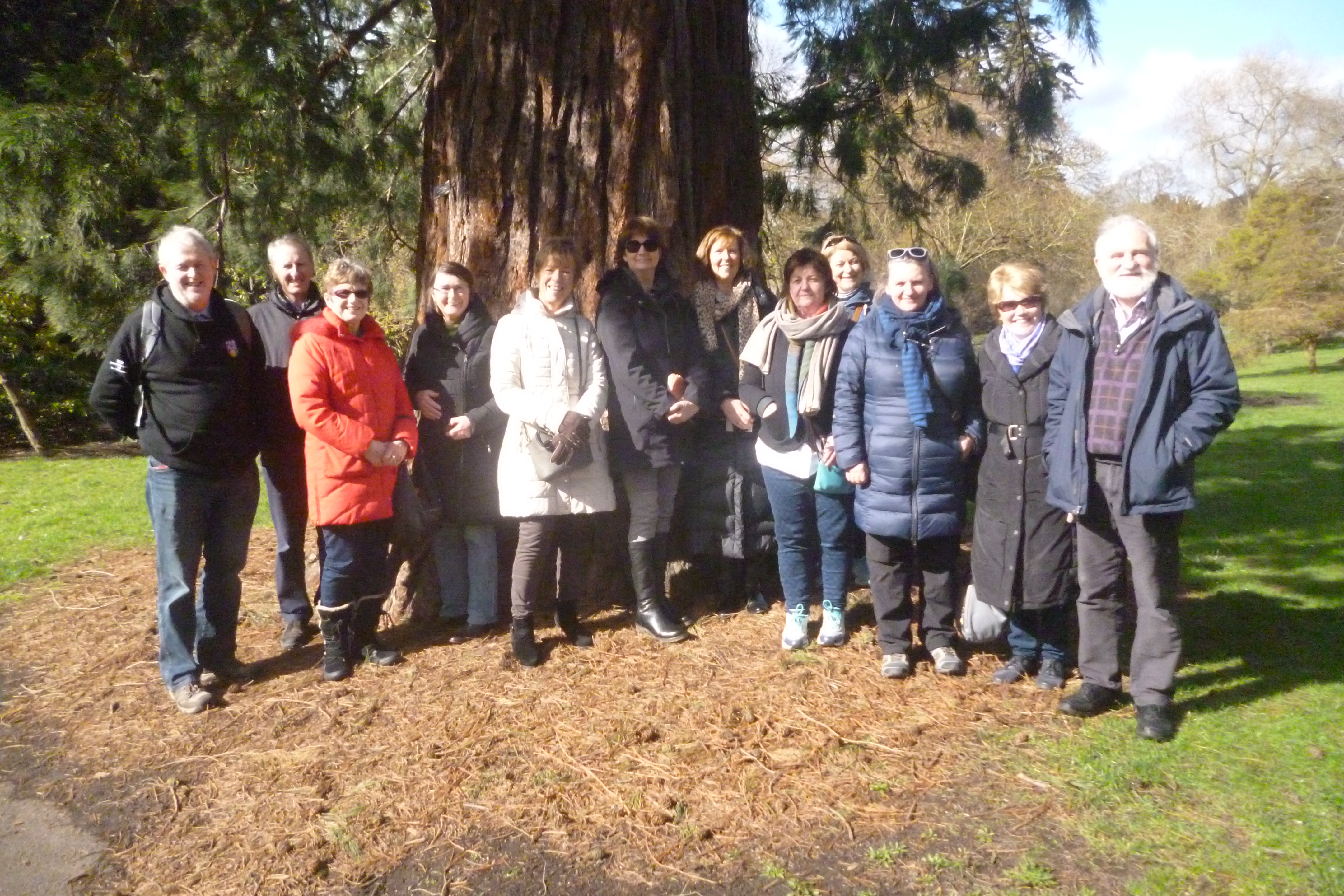 RTAI Gardening Course 2018[492]