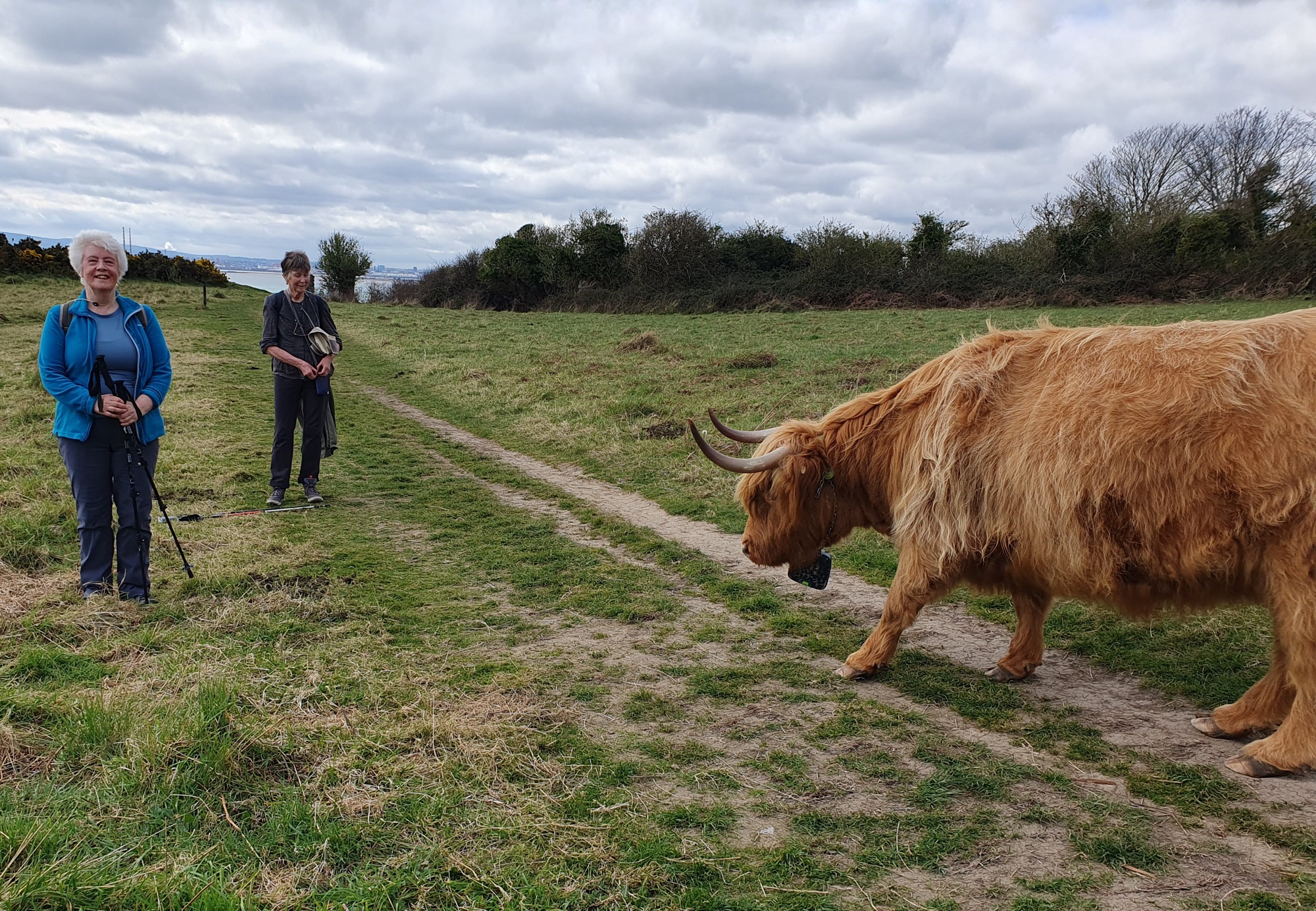 Howth Walk | Dublin South RTA